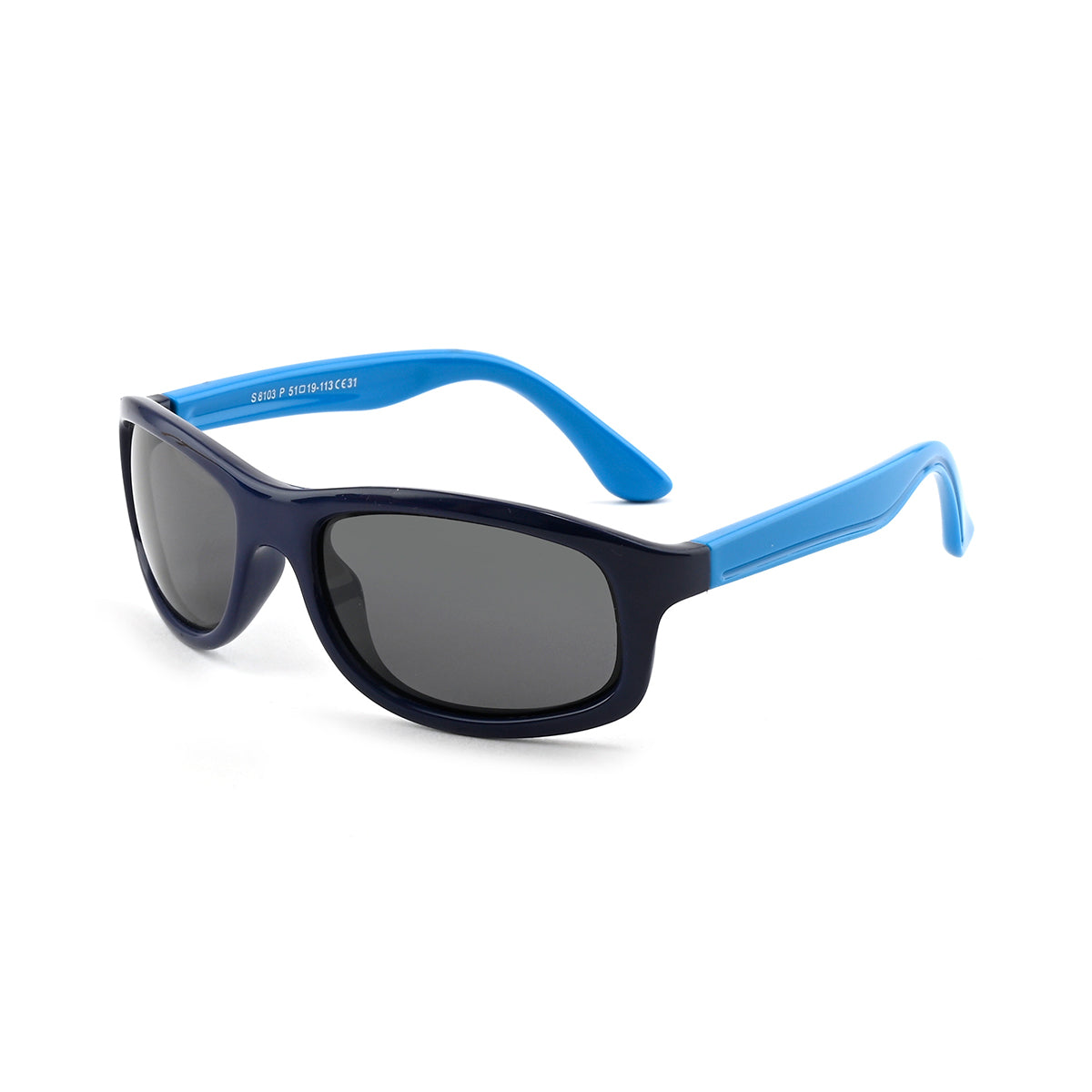 30010011-C31-S.PURPLE BLUE/BLUE