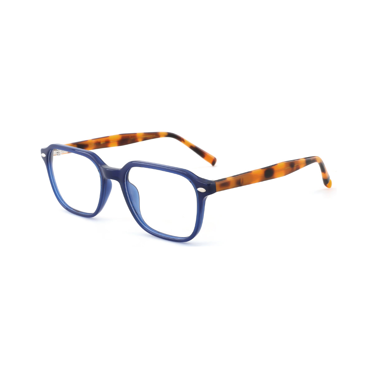 BLUE/TORTOISE