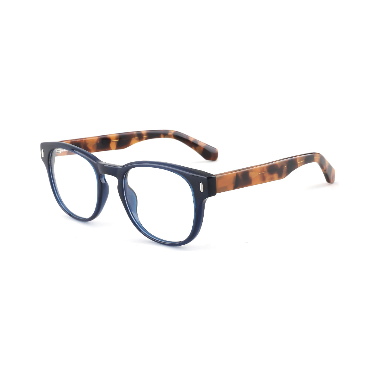 BLUE/YELLOW TORTOISE