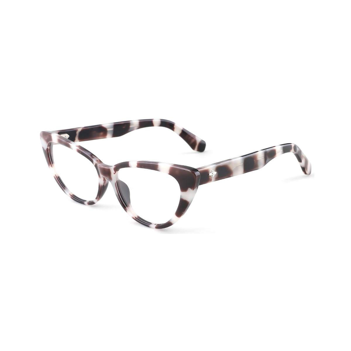 WHITE TORTOISE