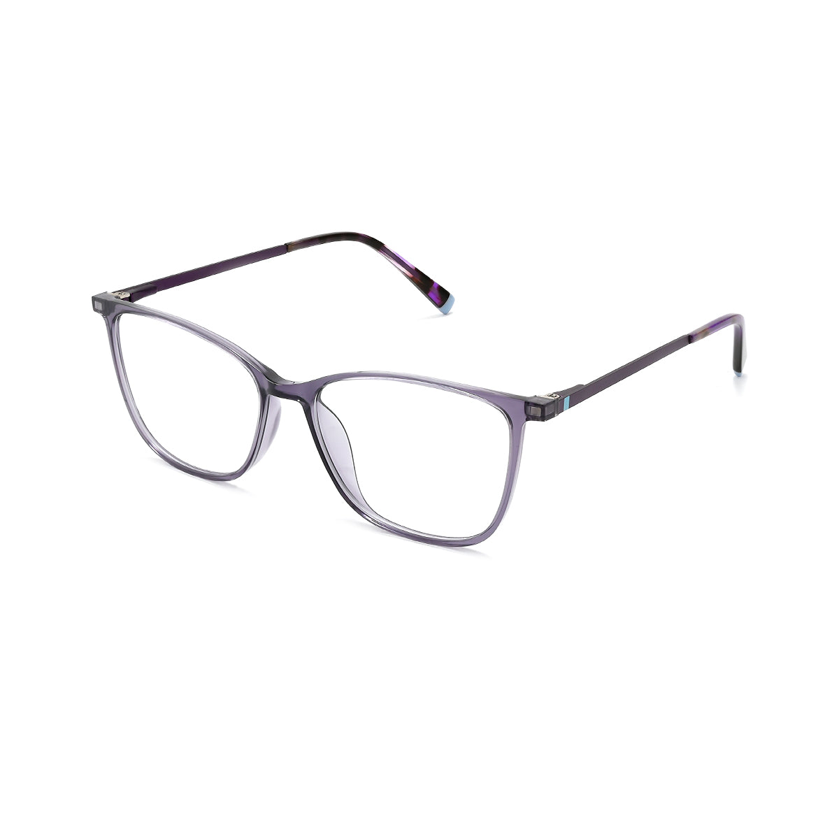 T.D.PURPLE